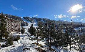 Studio face aux pistes avec wifi